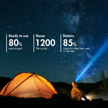 Tenergy T9688 LCD AA/AAA/C/D/9V NiMH/NiCd Battery Charger + Premium 26-Cell NiMH Rechargeable Battery 8AA/8AAA/4C/4D/2 9V Batteries