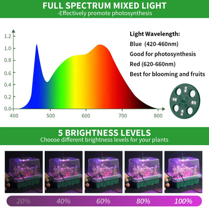 Qoolife Seed Starter Tray with Plant Light, 2 Pack Grow Lights for Seed Starting Kit with Humidity Domes, Timing Controller Adjustable Brightness for Greenhouse Propagator Station Planting Growing
