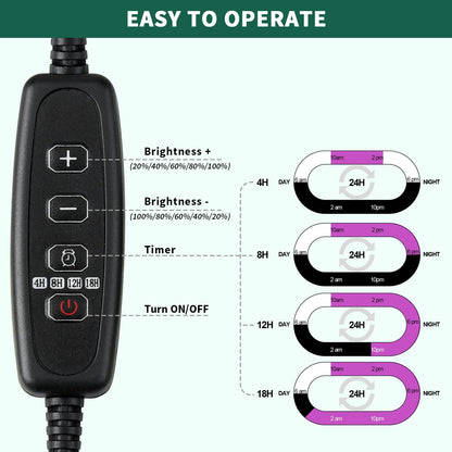 Seed Starter Tray, 2 Pcs Plant Propagation Station with Grow Light,Seedling Starter Trays with Timing Controller,Mini Greenhouse Kit with Humidity Domes and Base,Plant Tray for Seeds Growing Starting