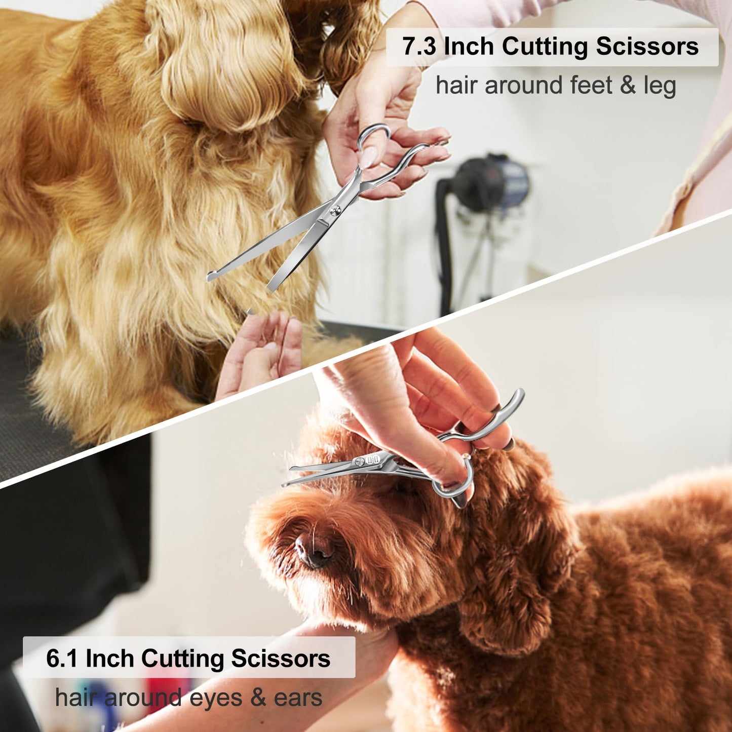 CIICII Dog Grooming Scissors Kit, 10-In-1 Professional Pet Grooming Scissors Set with Safety Round Tip (Dogs/Cat Hair Cutting Trimming Thinning Shears with Curved Scissors) for DIY Home Salon (Silver)