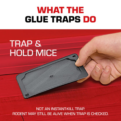 Tomcat Glue Traps Mouse Size with Eugenol for Enhanced Stickiness for Mice, Cockroaches, and Spiders, 6 Traps