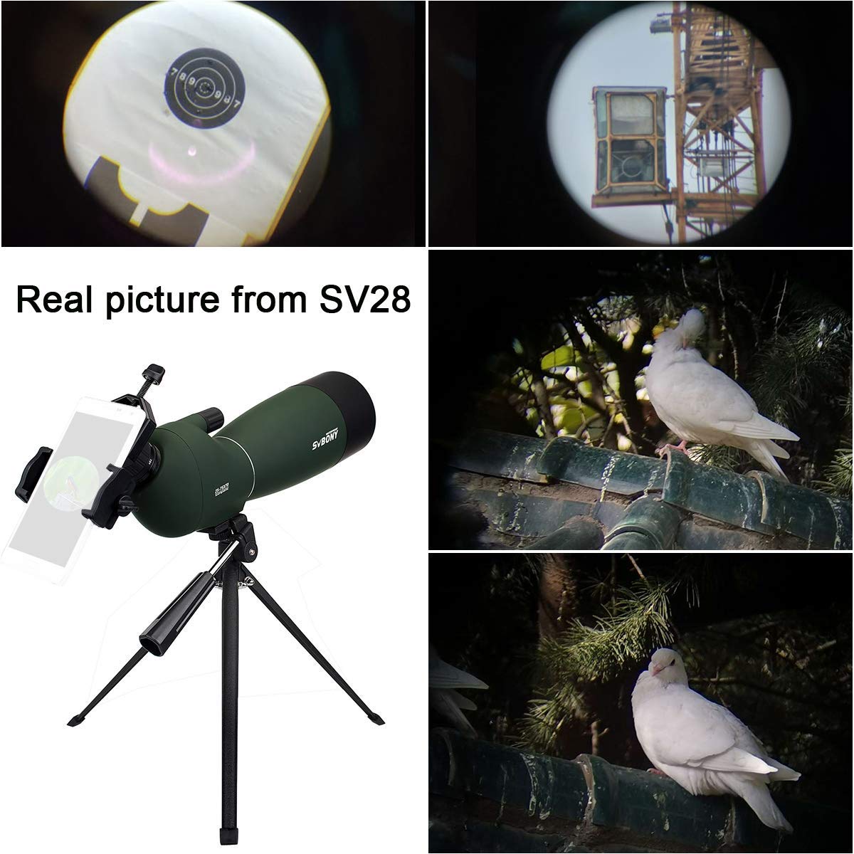 SVBONY SV28 Spotting Scopes with Tripod, Angled 25-75x70mm Spotter Scope with Phone Adapter, Waterproof Fogproof Spotting Scope for Bird Watching, Target Shooting, Wildlife Viewing