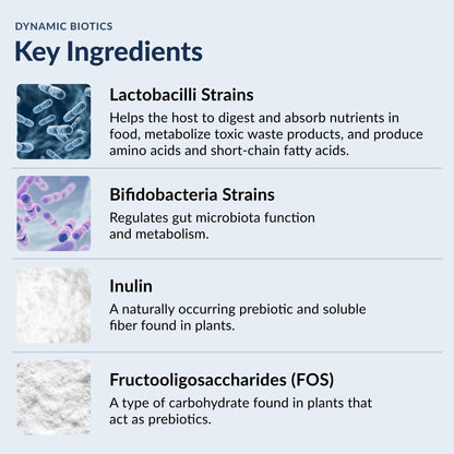 Stonehenge Health Probiotics 55 Billion CFU - 16 Strains, Prebiotic, Synbiotics Dynamic Biotics - Lactobacillus Acidophilus, Delayed Release, Shelf Stable, Non-GMO Gluten Free Veggie Capsule