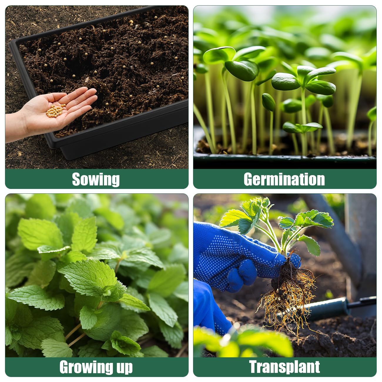 RooTrimmer Seed Starter Kit - 10 Pack 1020 Seed Trays with 2 Seedling Heat Mats for Plants (10"x20.5"), Complete Seed Germination Kit for Indoor Gardening, Greenhouse Accessories Gardening Gifts