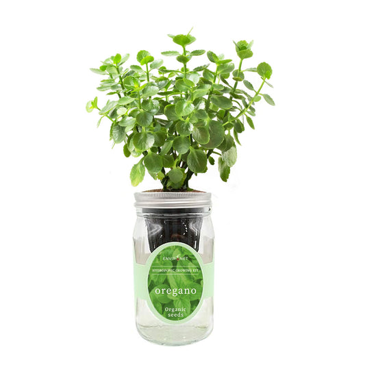 Environet Hydroponic Herb Growing Kit, Self-Watering Mason Jar Herb Garden Starter Kit Indoor, Grow Your Own Herbs from Organic Seeds (Oregano)