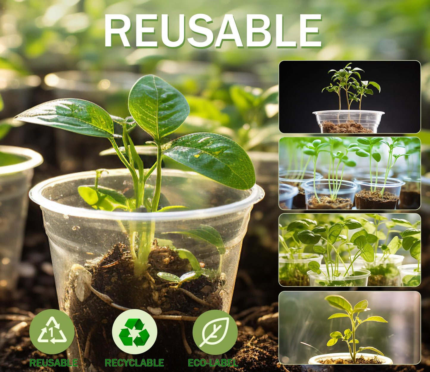 WandaQueen 30 Packs Clear Nursery Pots for Plants, 3.5/4/5 Inch High Transparency Plastic Seedling Plant Pot with Drainage Holes, Includes 20 Labels