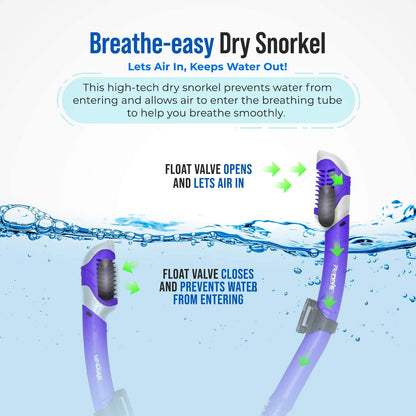 PRODIVE Snorkel Mask and Snorkeling Gear - Dry-Top Snorkel Set with Impact-Resistant Tempered Glass Lens, Anti-Fog Design, Watertight Seal, Adjustable Strap with Carry Case (Crystal Clear Vision)