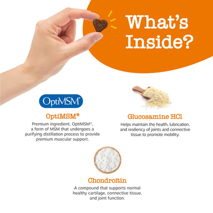 Zesty Paws Hip and Joint for Dogs, Glucosamine for Dogs Hip and Joint Supplement with Chondroitin, MSM, Vitamins C & E - Bacon, 90 Count