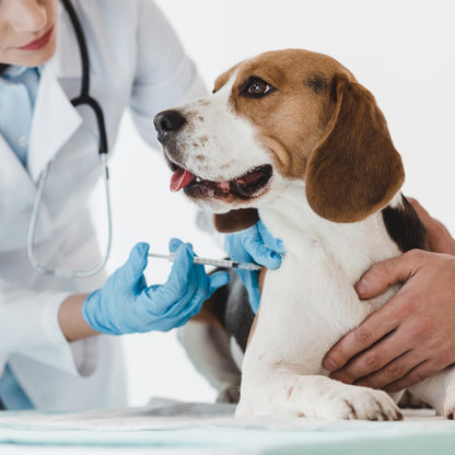 U-100 Syringes with Needle - 30G 5/16" (8mm) 1ml/cc Disposable Syringe, Individual Wrapped, 30PACK