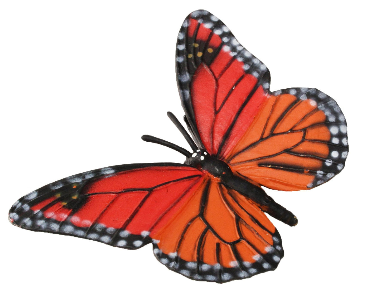 Safari Ltd. Life Cycle of a Monarch Butterfly - Educational Toy Figurines - Miniature Butterfly Lifecycle Collection for Boys, Girls & Kids Age 4+