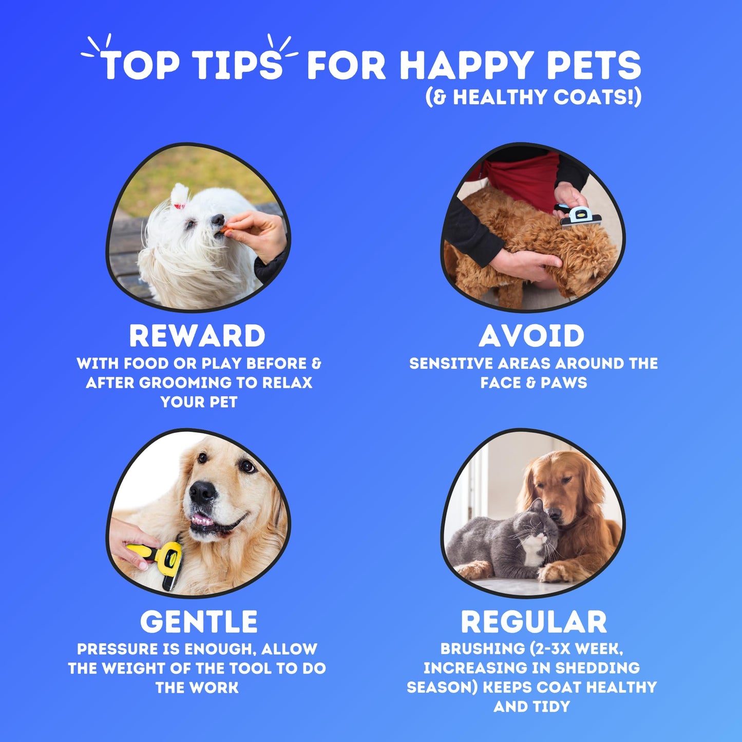 DakPets Stainless Steel Deshedding and Dematting Tool | Professional Pet Grooming Fur Brush for Cats and Dogs Hair Removal