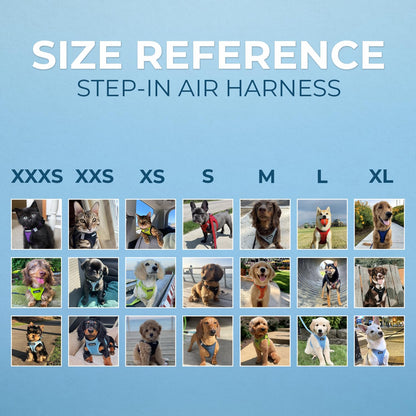 Best Pet Supplies - All Weather Mesh, Reflective, No Pull Harness for Small, Medium Dogs, Cats - Secure with Hook & Loop Fastener, Buckle, Double D-Rings - Black/Blue Trim, M