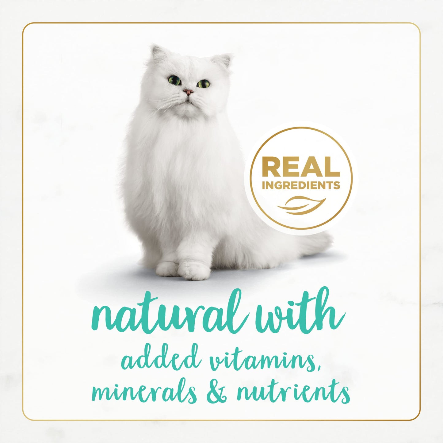 Purina Fancy Feast Wet Cat Food Pate Gourmet Naturals Ocean Whitefish Recipe - (Pack of 12) 3 oz. Cans