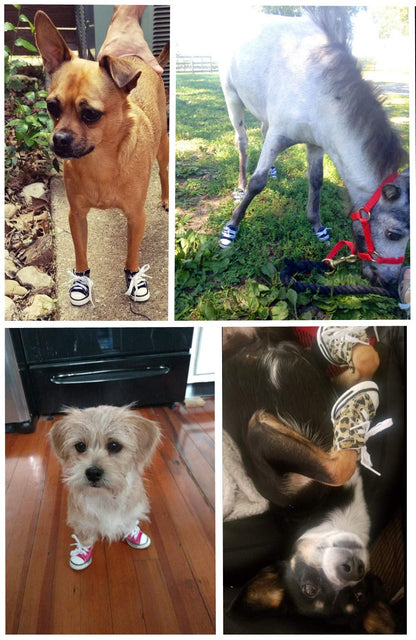 abcGoodefg Pet Dog Puppy Canvas Sport Shoes Sneaker Boots, Outdoor Nonslip Causal Shoes Rubber Sole Soft Cotton Inner Fabric Shoes for Small Dog (#2(1.331.73), Pink)