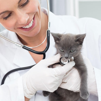 SwiftGrip Disposable Nitrile Exam Gloves, 3-mil, Large, Box of 100, White Nitrile Gloves Disposable Latex Free for Medical, Cleaning, Cooking & Esthetician, Food-Safe, Powder-Free, Non-Sterile