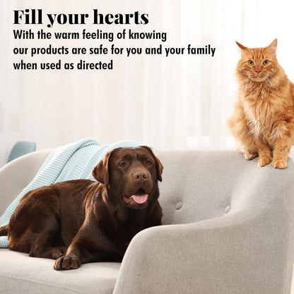 Citrus Magic Pet Odor Absorbing Solid Air Freshener for Home, Air Purifier, Fresh Citrus, Must have Pet Supplies, 8 Oz (Pack of 3)