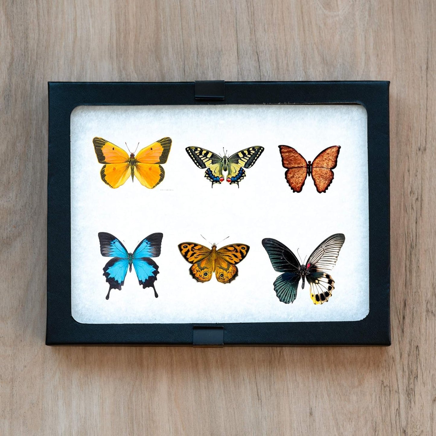 SE Glass Top Display Box - JT926