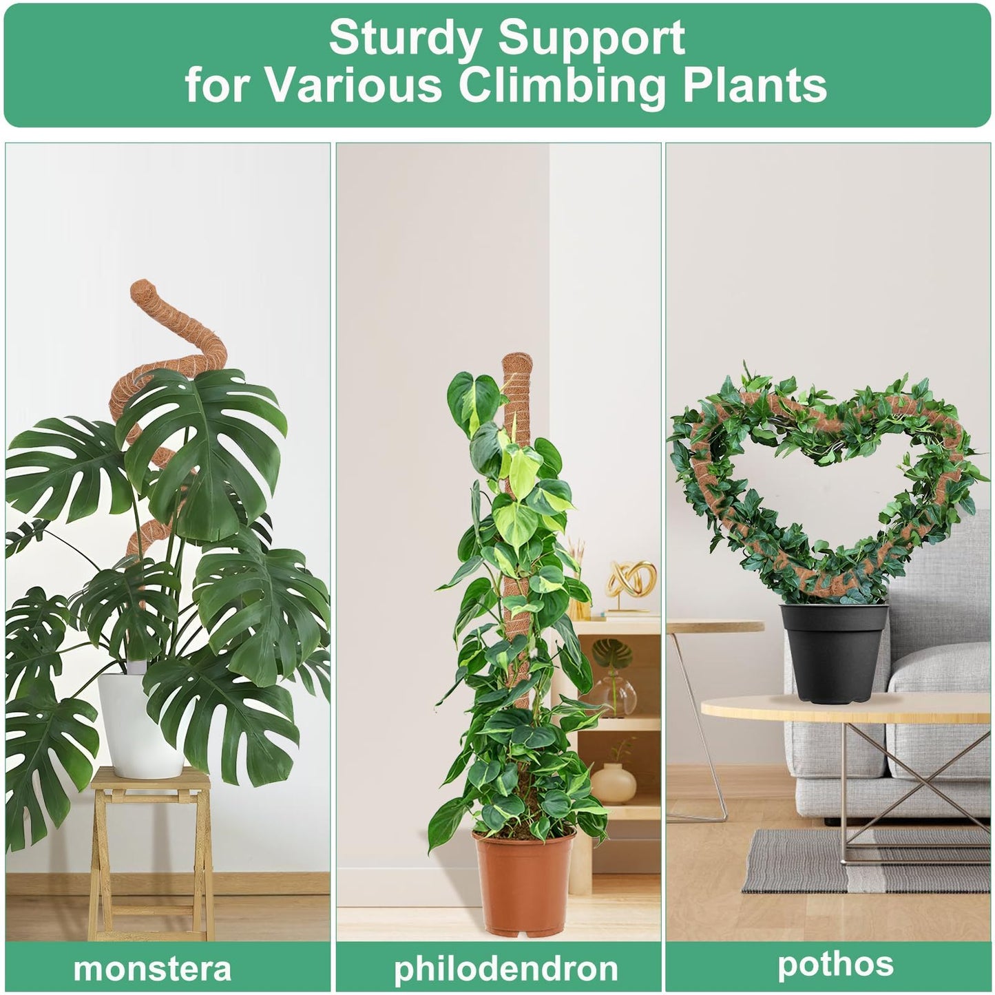 3 Pack Moss Pole, 30 Inch Monstera Plant Support， Moss Poles for Climbing Plants Indoor DIY, Coco Coir Plant Pole Moss Plant Stick Support Stake Kit for Potted Plants, Pothos, Philodendron