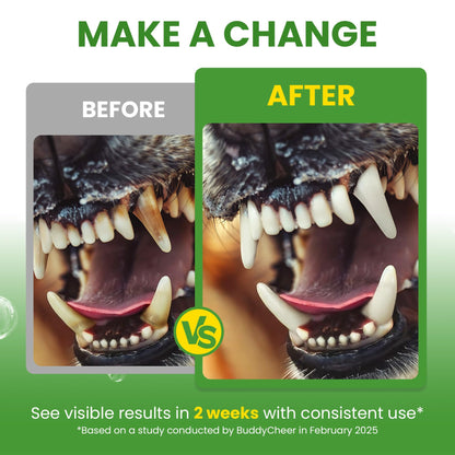 Dog Teeth Cleaning Powder, Dog Dental Powder and Cats Breath Freshener, Plaque Off Pet Tooth Cleaning lab co, Bad Breath & Tartar Remover for Dogs, Dog Teeth Cleaning with Enzymes- 60-Day Supply -Mint