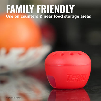 TERRO Fruit Fly Traps for Indoors (4 Pack) + 180 Days of Lure Supply