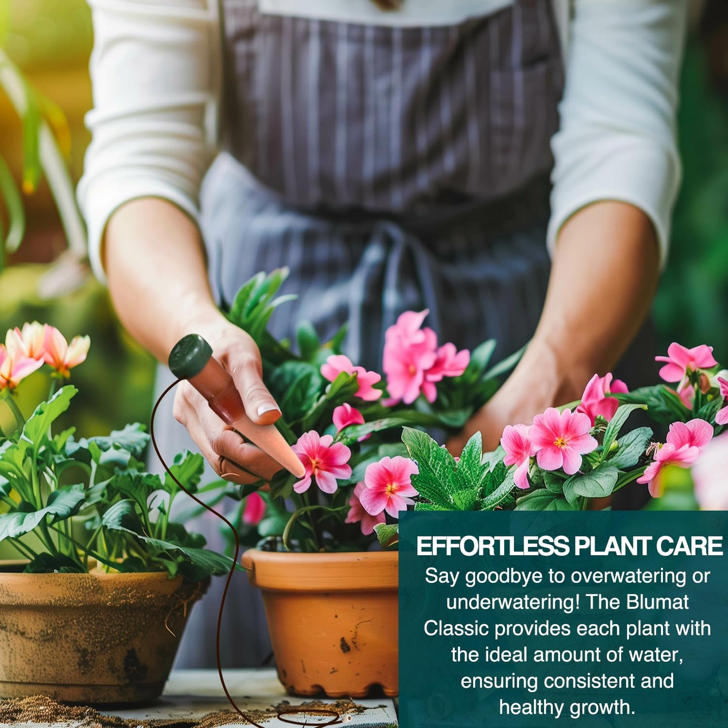 Blumat Classic Plant Watering Stakes - Self-Watering Insert for Indoor and Outdoor Plants - Automatic Slow Release Irrigation System for Potted Plants - Houseplant Care Device (12 Pack)