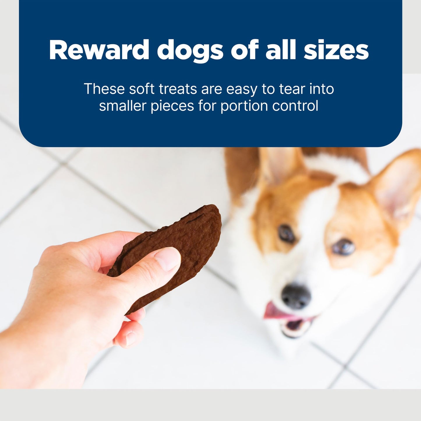 Blue Buffalo Nudges Jerky Cuts Dog Treats, Made in the USA with Natural Ingredients, Steak, 16-oz Bag