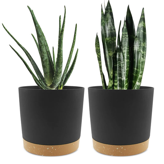 QCQHDU 8 inch Plant Pot, 2 Pack Planters for Indoor Plants with Drainage Holes & Saucer, Outdoor Flower Pots Home Garden Modern Decor