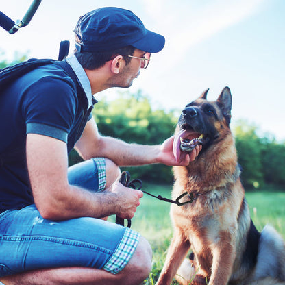 Tactical Gear Clips Plastic Carabiner Keychain Clip D-Rings Spring Snap Hook for Backpack, Molle System, Bag, Key Chain 12 Pack