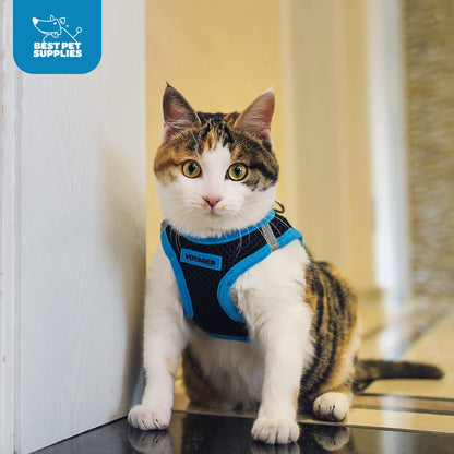 Best Pet Supplies - All Weather Mesh, Reflective, No Pull Harness for Small, Medium Dogs, Cats - Secure with Hook & Loop Fastener, Buckle, Double D-Rings - Black/Blue Trim, M