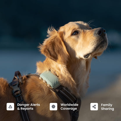 Tractive XL Smart Dog GPS Tracker | Live Pet Tracker with Virtual Fence | Vital Signs Monitoring of Heart & Respiratory Rate | Up to 1-Month Battery Life | Dog Collar Attachment (Green)