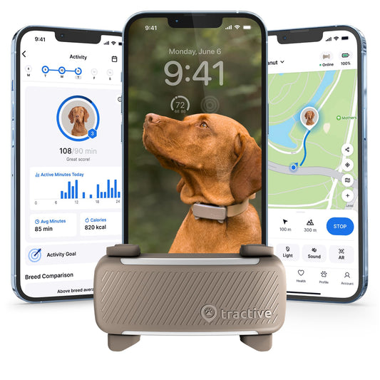 Tractive Smart Dog GPS Tracker | Live Pet Tracker with Virtual Fence | Vital Signs Monitoring of Heart & Respiratory Rate | Bark Monitoring | Dog Collar Attachment (Brown)