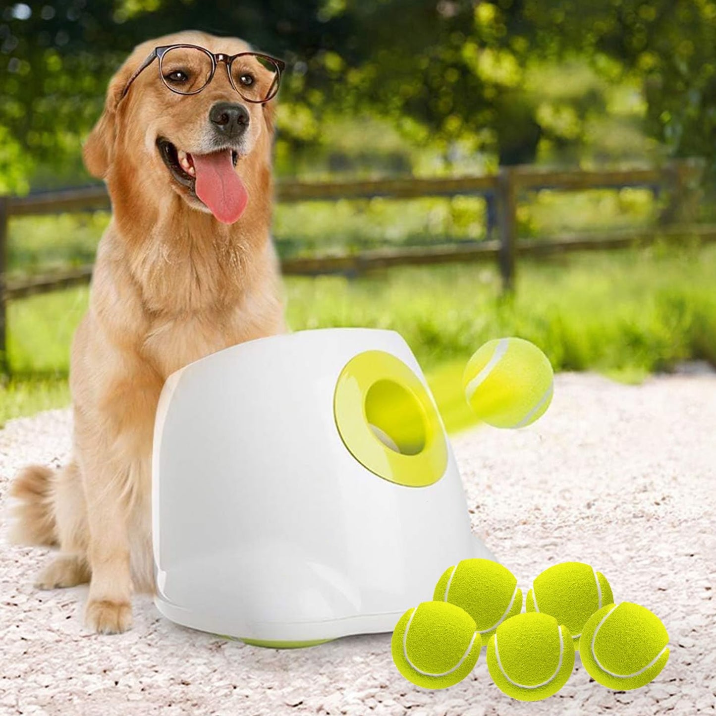 ALL FOR PAWS Automatic Dog Ball Launcher for Medium to Large Dogs, Interactive Tennis Ball Thrower, Rechargeable Dog Toy Mental Stimulation Training Game for Energetic Dogs