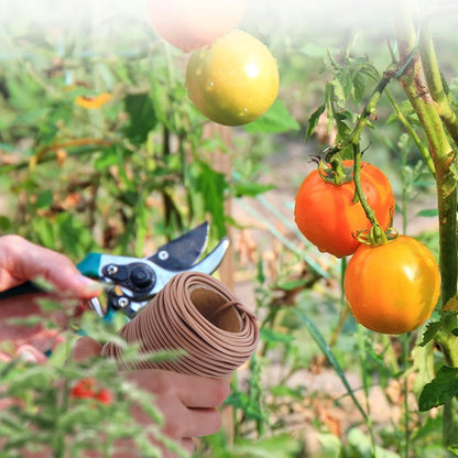 TELENT OUTDOORS 130 Feet Soft Plant Tie Brown Twist Garden Ties for Plants Gardening Home Office Organization TPR Garden Ties Supplies with 2.5mm Diameter