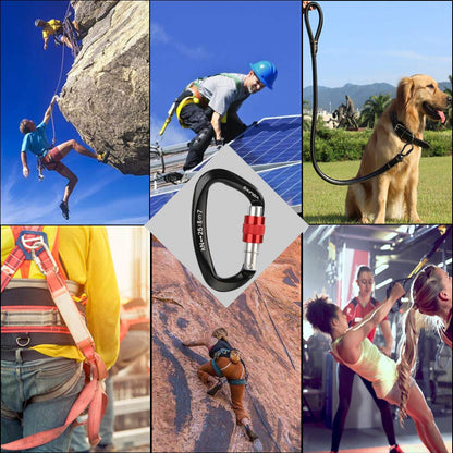 XINDA Screwgate Locking Carabiner Clip - Professional Rock Climbing Carabiner Screw Lock,Heavy Duty Carabiners for Climbing,Mountaineer,Hammock,Camping,Outdoor Equipment (5 pcs Black)