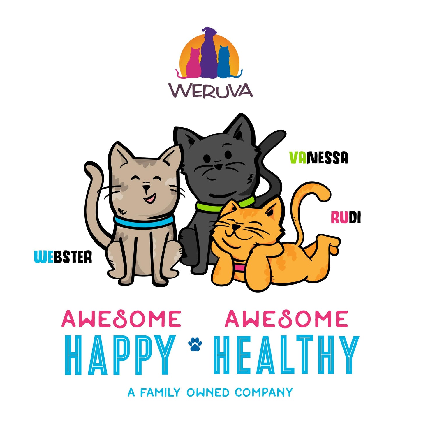 Weruva B.F.F. OMG - Best Feline Friend Oh My Gravy! Grain-Free Wet Cat Food Cans, Crazy 4 U! Chicken & Salmon, 5.5-Ounce Can (Pack of 8)