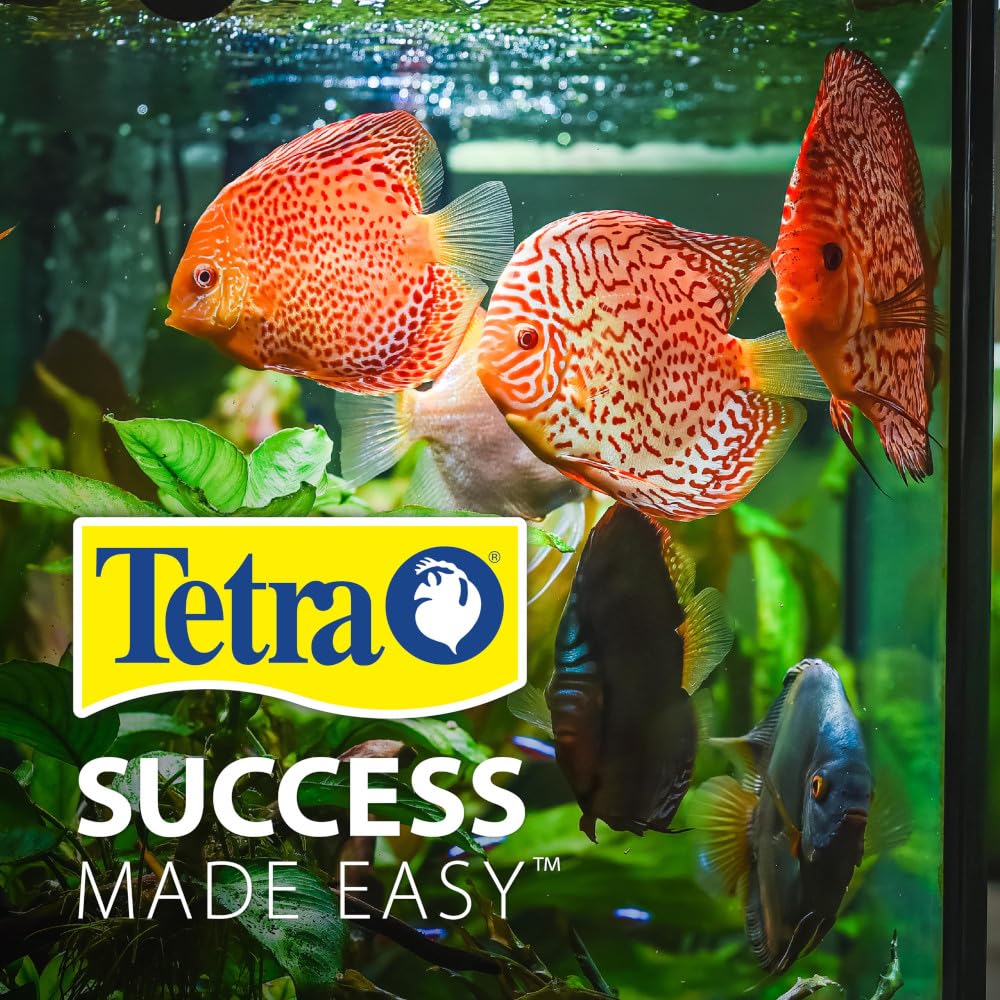 Tetra 3 Gallon Fish Tank, Aquarium Starter Kit with Pedestal Base, LED Light and Filter, For small tropical fish, guppies, goldfish, or betta