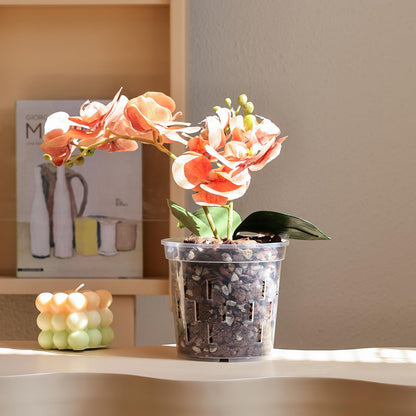 TRUEDAYS Orchid Pot – 4 Pack 5 Inch Clear Orchid Pots with Drainage Holes for Repotting – Ideal for Healthy Root Growth – Sturdy Plastic Plant Pot for Indoor & Outdoor Plants