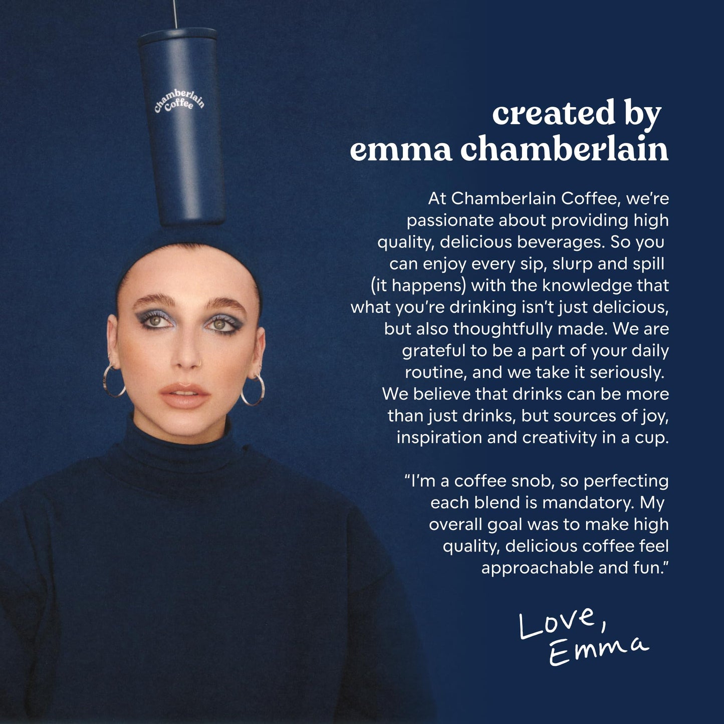 Chamberlain Coffee Variety Box Single Serve Bags - Includes 5 Blends, Original Family, Early Bird, Night Owl, Careless Cat and Social Dog Blends - 10 Single Serve Cold Brew Sachets