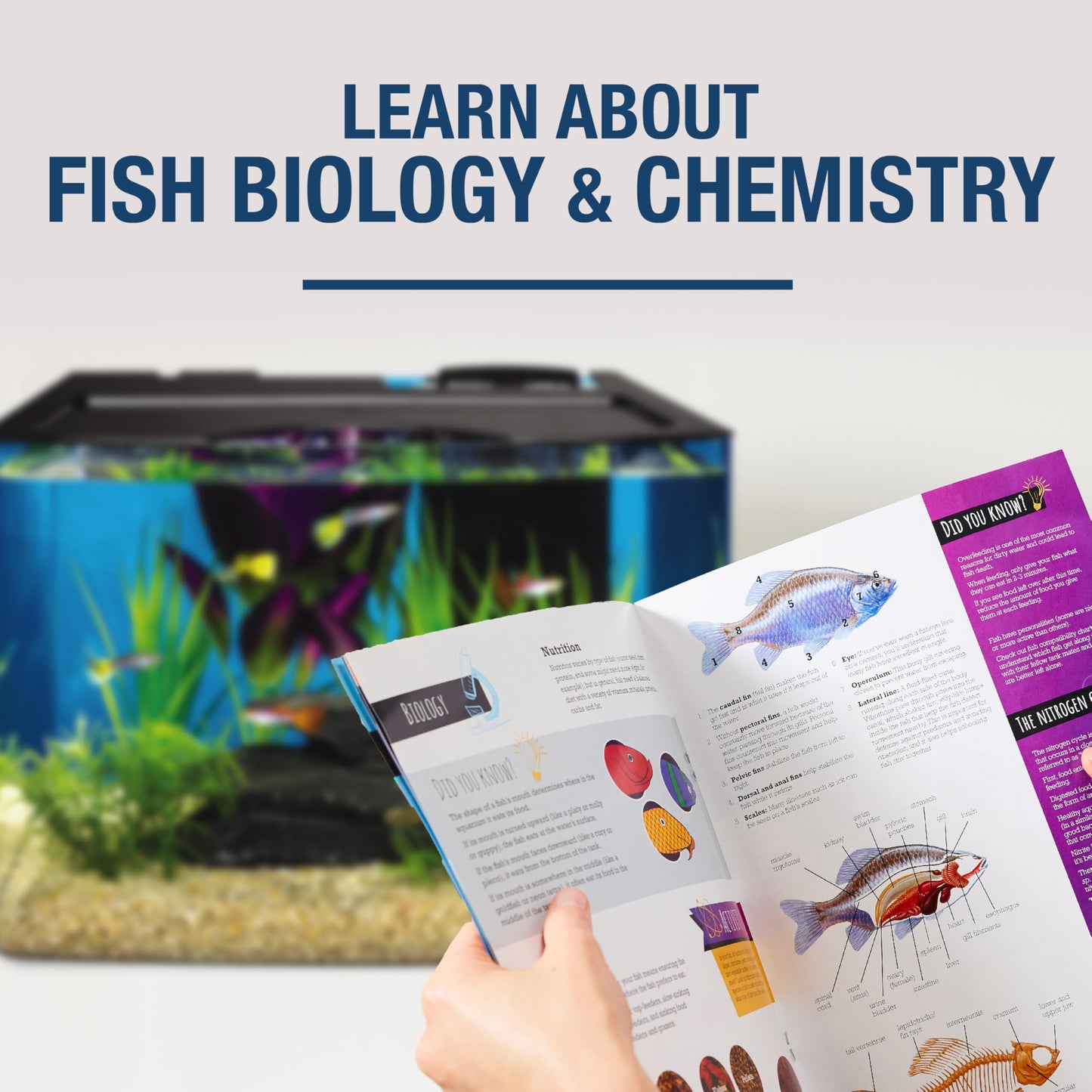 Tetra Crescent STEM Aquarium Kit 3 Gallons, Curved-Front Fish Tank with LEDs and STEM Activity Guide