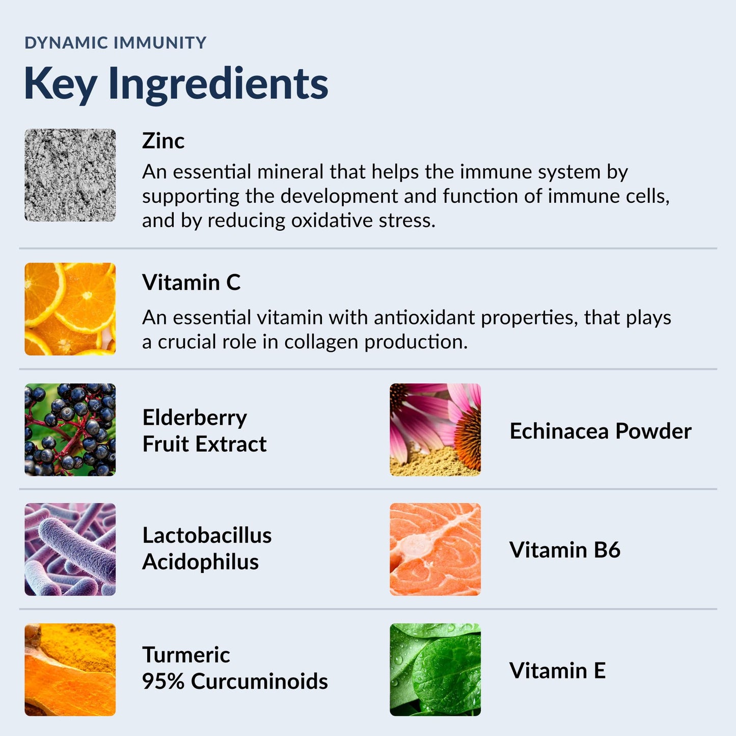 Stonehenge Health Dynamic Immunity Daily Supplement 10-in-1 Immune Boosters Zinc, Elderberry, Echinacea, Vitamin C & Probiotic L. Acidophilus – Supports Immune System & Respiratory Health, 60 Capsules