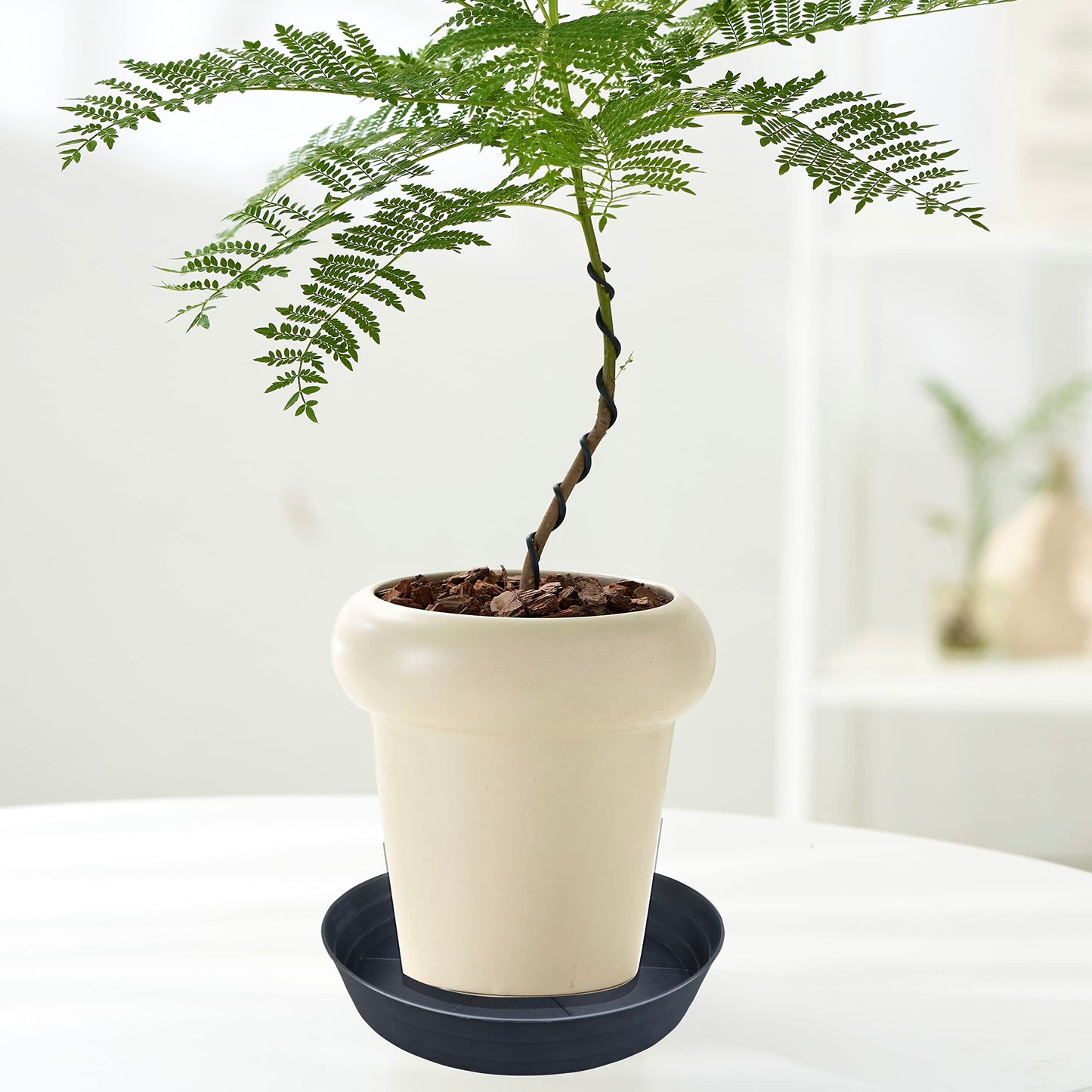 25 Inch Extra Large Planter Saucer, Extra-Deep 4.25 in Black Drip Trays for Flower Pot, Heavy Duty Drainage Tray Indoors No Holes, Plastic Plant Plate Water Catcher for Pots Base 19 20 21 22 in