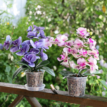 TRUEDAYS Orchid Pot – 4 Pack 5 Inch Clear Orchid Pots with Drainage Holes for Repotting – Ideal for Healthy Root Growth – Sturdy Plastic Plant Pot for Indoor & Outdoor Plants