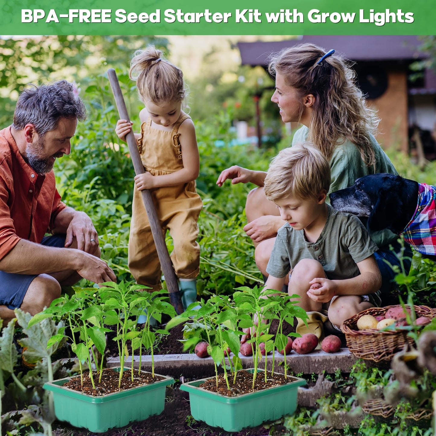 Seed Starter Trays with Grow Lights, 72 Cells Seed Starter Kit with Lights, 3 Lighting Mode, 4 Timing Set, Germination Kit for Seed Starting Trays, Seedling Starter with High Humidity Control Domes