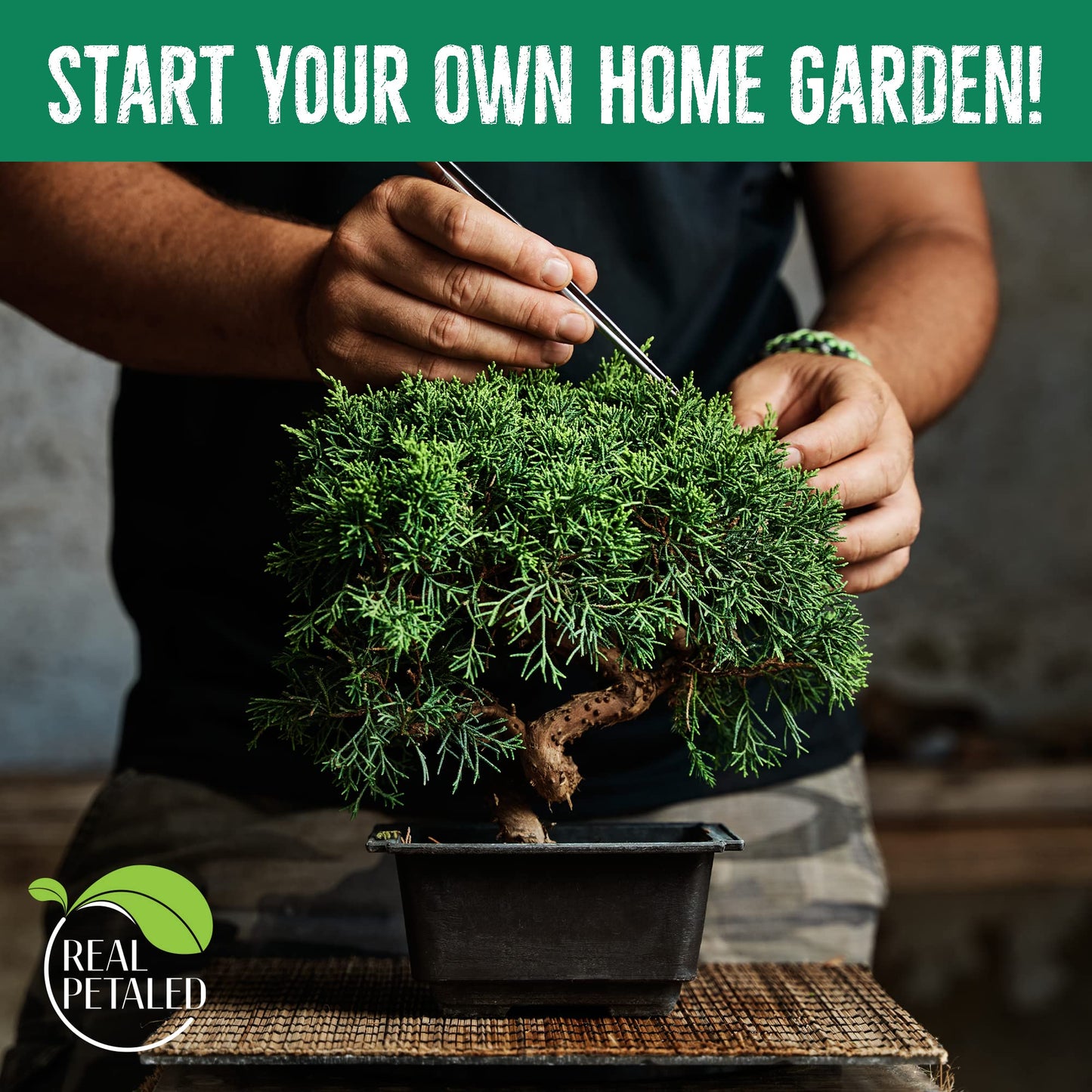 REALPETALED Bonsai Starter Kit – Japanese Bonsai Tree Kit 7 Seeds Pots – Complete Grow Your Own – Plant Lover Gifts Home Gifts for Men and Women