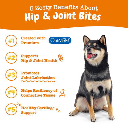 Zesty Paws Hip and Joint for Dogs, Glucosamine for Dogs Hip and Joint Supplement with Chondroitin, MSM, Vitamins C & E - Bacon, 90 Count