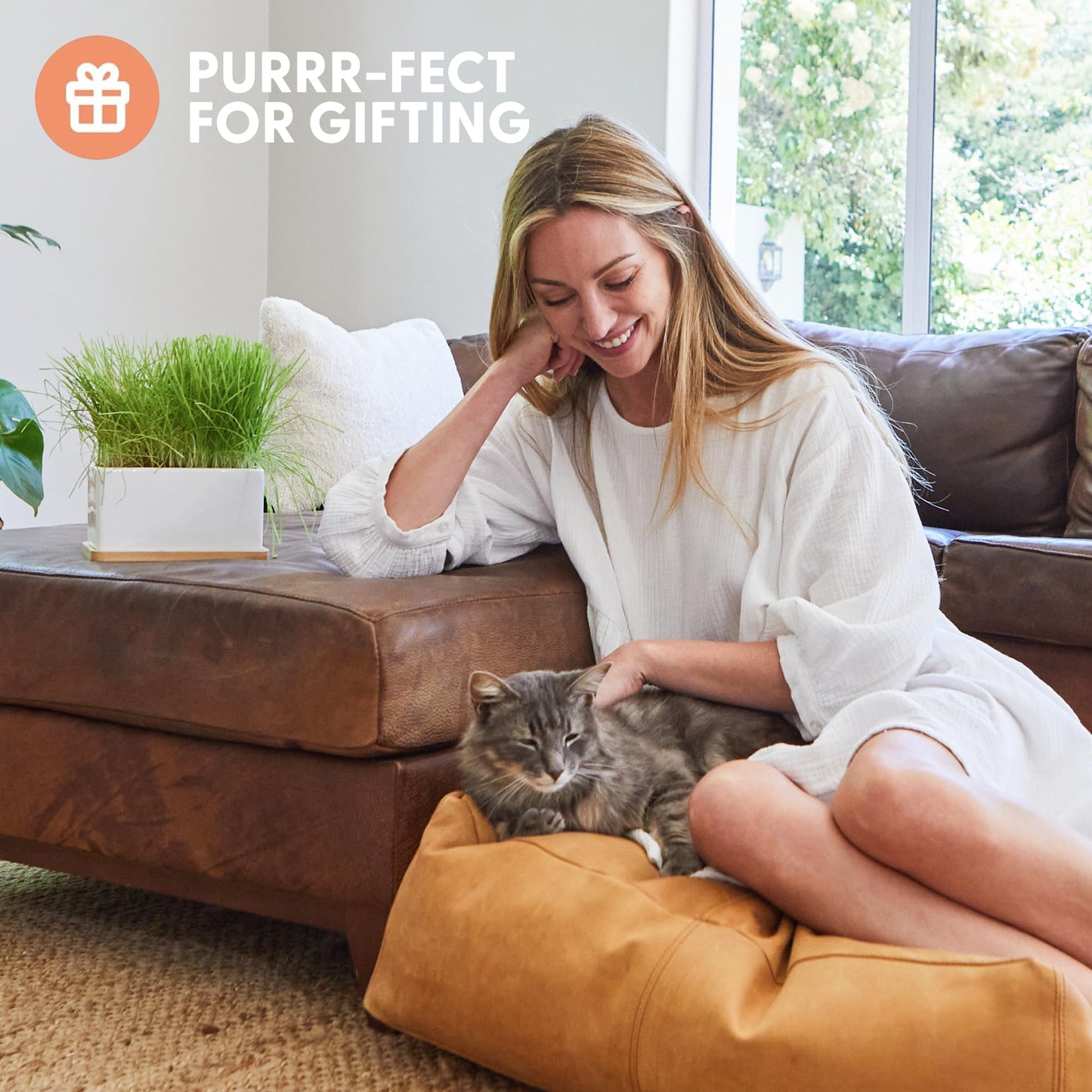 The Cat Ladies Organic Cat Grass Growing kit with Organic Seed Mix, Soil and Ceramic Planter with Bamboo Tray. Natural Hairball Control and Remedy for Cats