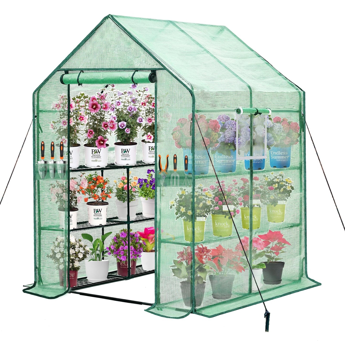 Purlyu Walk-in Greenhouse w/ Roll-Up Zipper Door & Screen Windows-3 Tiers 12 Shelves 56x56x76“ PE Greenhouse for Outdoor Gardening Plants Cold Frost Protection Wind Rain Proof(PLGHW002G-N)