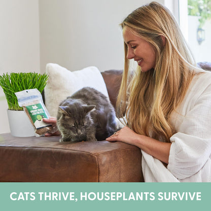 The Cat Ladies 100% Organic Cat Grass Seeds - Cat Grass for Indoor Cats - (Non GMO) 16 oz