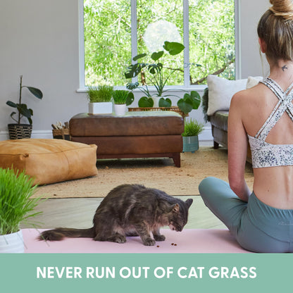 The Cat Ladies Cat Grass Grow Bag Kit, Organic Cat Grass for Indoor Cats, Cat Grass Seeds, Soil & Grow Bags 3 Pack