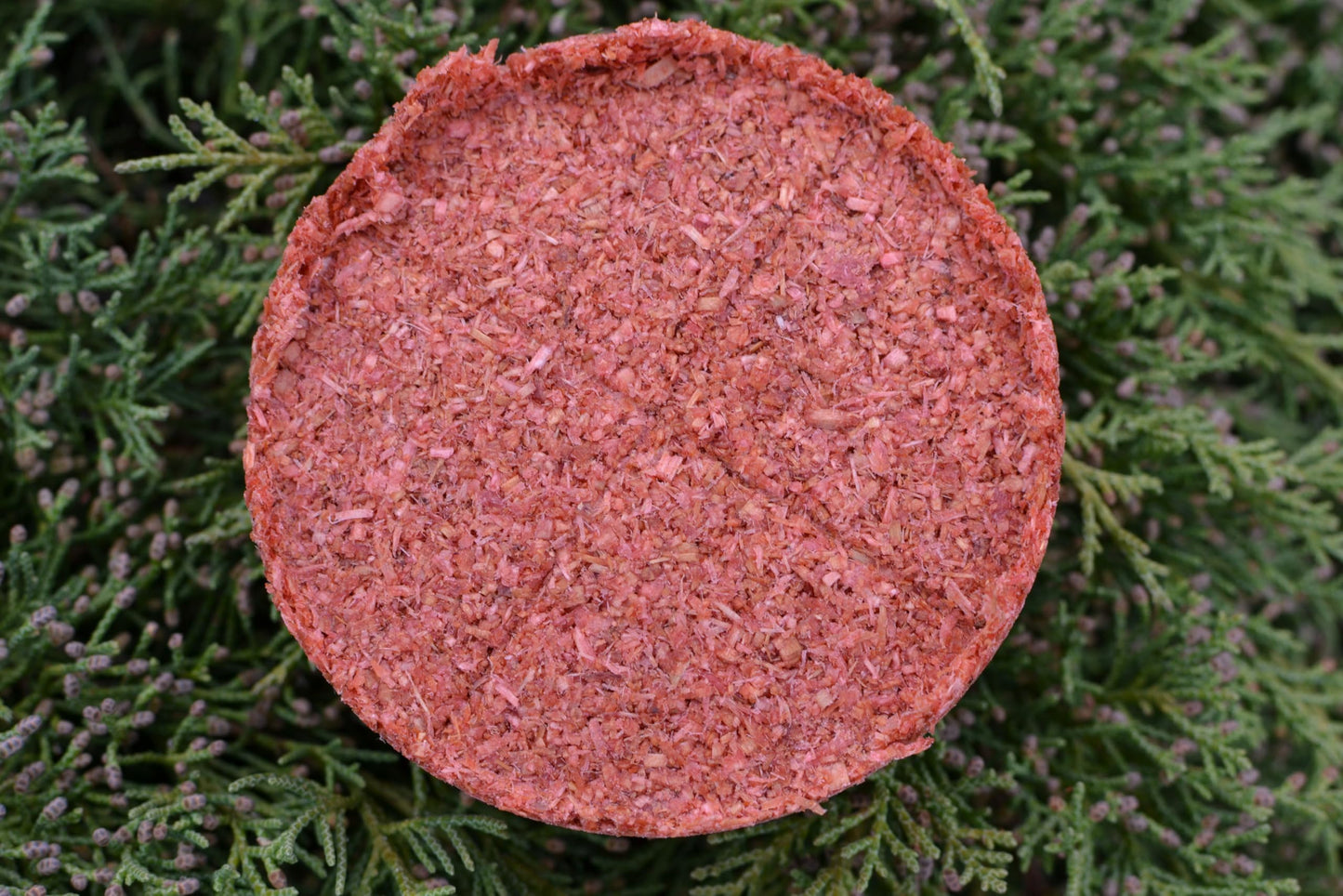 SUPER CEDAR FIRESTARTERS - 4 Count Starts up to 16 Fires for Wood Stoves, Campfires, Grill Pit and Fireplace, Natural & Waterproof. Easy to Light, Fresh Cedar Aroma, Burns for 30 Minutes.